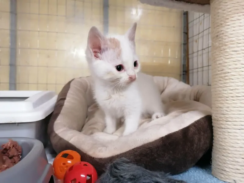 Casper